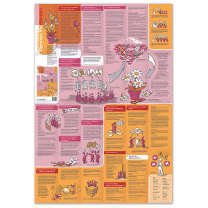 Dynamic Facilitation Learning Map for visual facilitation, sold by Inky Thinking UK, Official Neuland UK re-seller
